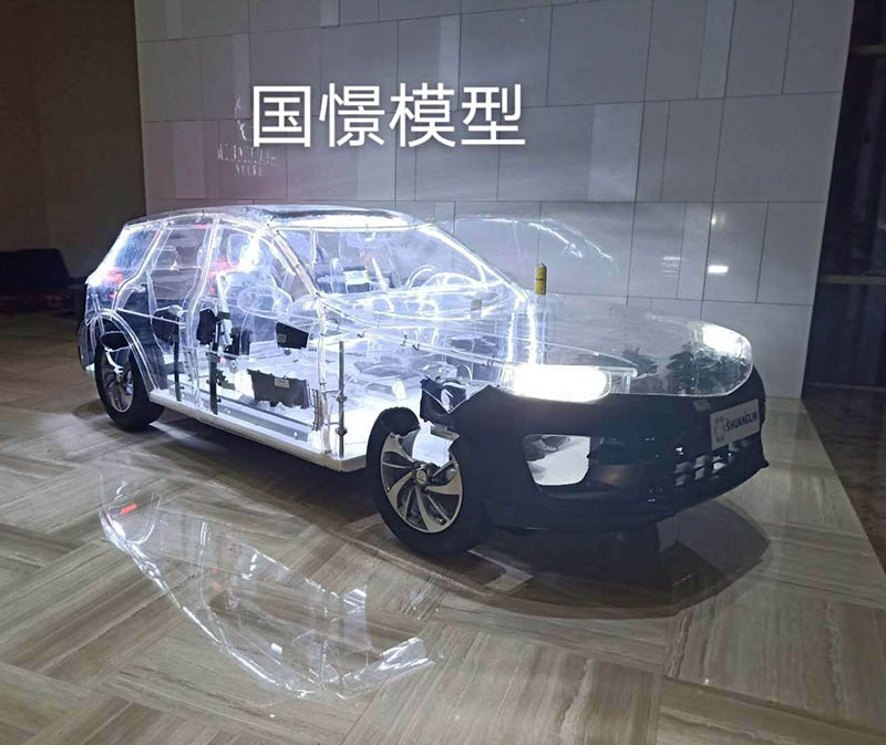 拉孜县透明车模型